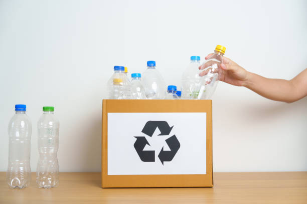 istock Volunteer keep plastic bottle into paper box at home or office. Hand Sorting Recycle garbage. Ecology, Environmental, pollution, Dispose recycling, waste management and trash Separation concept 1492500495