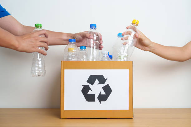 istock Volunteer keep plastic bottle into paper box at home or office. Hand Sorting Recycle garbage. Ecology, Environmental, pollution, Dispose recycling, waste management and trash Separation concept 1492500502
