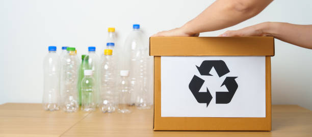 istock Volunteer keep plastic bottle into paper box at home or office. Hand Sorting Recycle garbage. Ecology, Environmental, pollution, Dispose recycling, waste management and trash Separation concept 1492500530