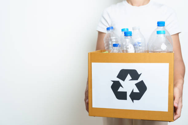 istock Volunteer keep plastic bottle into paper box at home or office. Hand Sorting Recycle garbage. Ecology, Environmental, pollution, Dispose recycling, waste management and trash Separation concept 1492500544
