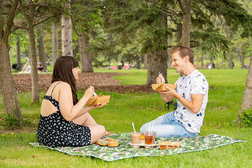 Wide shot of young LGBTQIA2S+ identifying adults enjoying vegan food, drinks and desserts in the park on a bright spring/summer day.