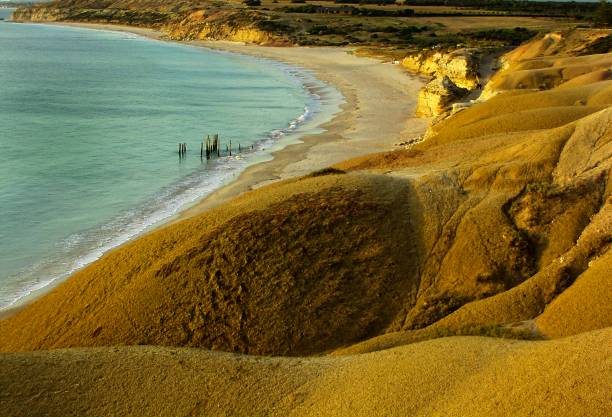 istock Sunshine on the Coast 1492504620
