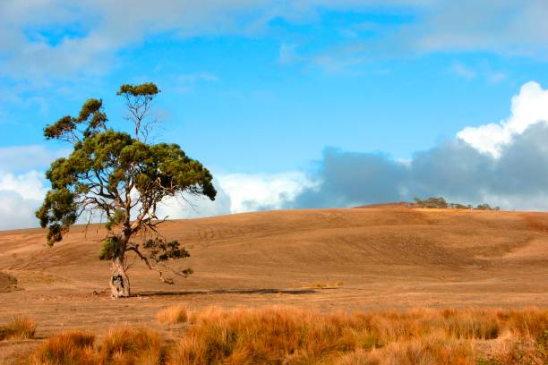 istock Fleurieu Peninsula Rural Landscape 1492504628