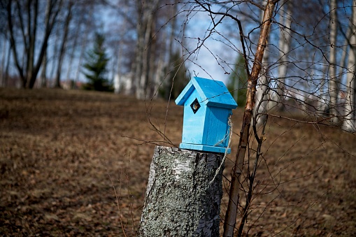 Small little blue birdhouse at a middle of public park in Oulu, Finland.