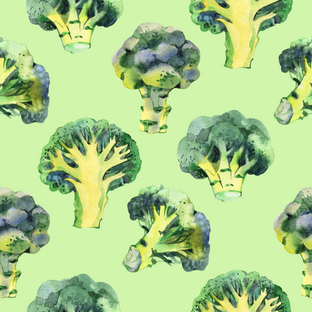 Seamless pattern with broccoli. Watercolor illustration. Food background. Seamless pattern with broccoli. Watercolor illustration. Food background brokoli stock illustrations