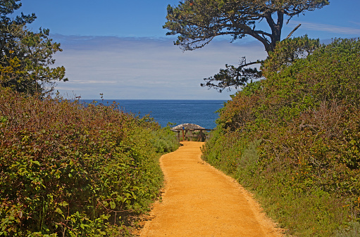 path leading to the coast in Carmel, CA