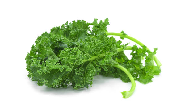 istock Fresh organic green kale leaf isolated on white 1492513719
