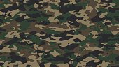 Green hunting camouflage. Military camouflage.