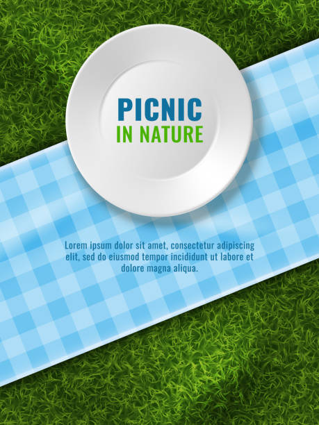 sommerliches picknick. partyeinladungsplakat-design. leerer teller auf grünem rasengras. parken sie das abendessen auf der decke. draufsicht auf die keramikschale. kochgeschirr auf vichy-tischdecke. vektordesign-hintergrund - picnic checked tablecloth pattern stock-grafiken, -clipart, -cartoons und -symbole