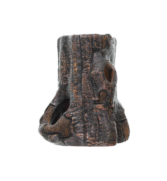 istock decorative stump for aquarium isolated on white background 1492523031
