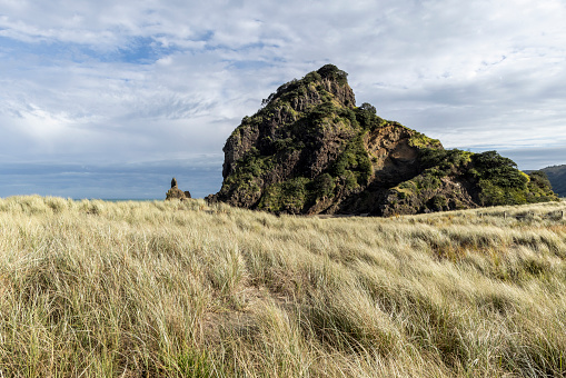 Lion Rock is the large stone formation that separates Piha beach from North Piha. The Lion is an icon of Auckland's west coast,