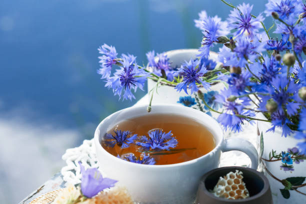 istock Cornflower herbal tea in white cup on white crochet napkin on table outdoors, healthy cornflower drink with honey in nature background 1492523724