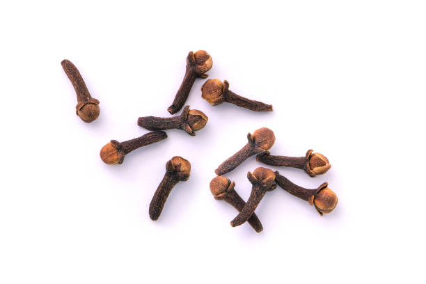 istock Dry cloves or spice isolated on white background. 1492525532