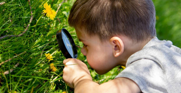 istock the boy looks at the flower through a magnifying glass. 1492532022