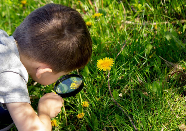 istock the boy looks at the flower through a magnifying glass. 1492532041