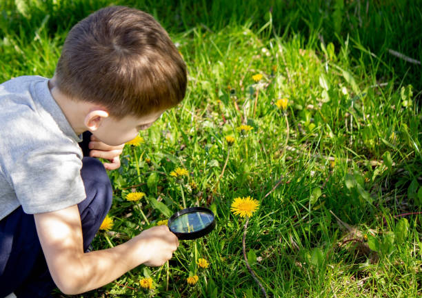 istock the boy looks at the flower through a magnifying glass. 1492532042