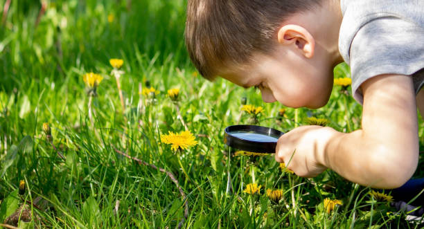 istock the boy looks at the flower through a magnifying glass. 1492532051