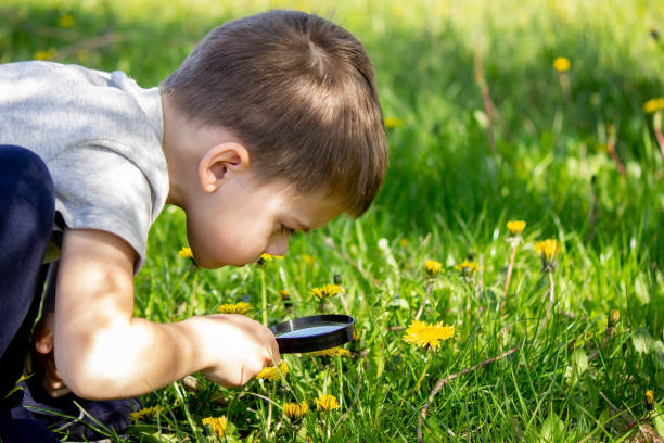 istock the boy looks at the flower through a magnifying glass. 1492532057