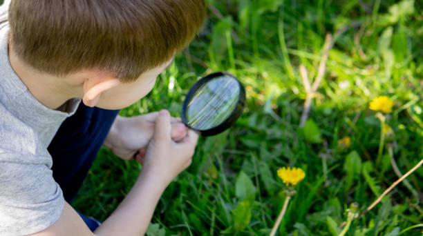 istock the boy looks at the flower through a magnifying glass. 1492532063