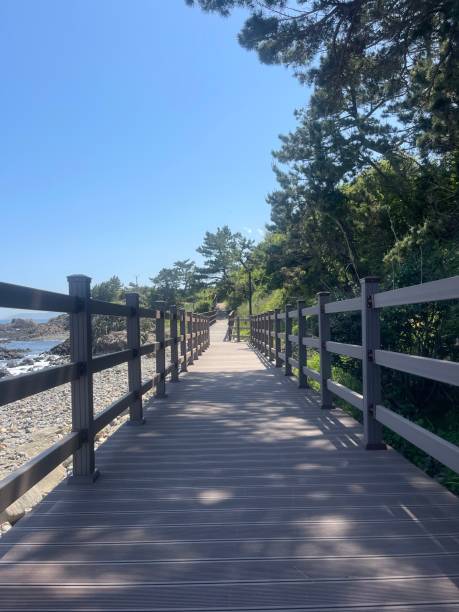 istock Seaside wooden bridge passage. 1492533599