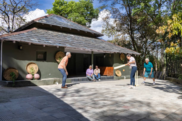 istock Family members playing cricket in the back yard. 1492534174