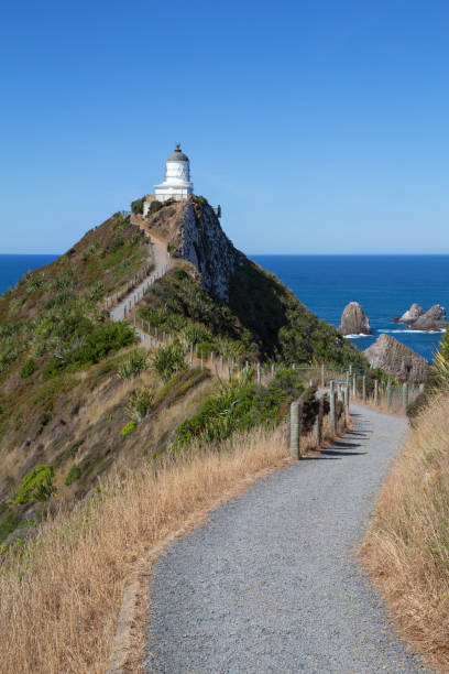 istock Nugget Point Lighthouse and walkway, Catlins, New Zealand 1492535598