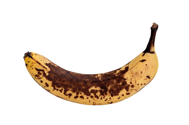 istock Banana. Banana with brown spots isolated on white background. 1492536133