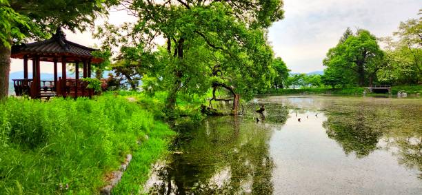 istock VH560-000 Landscape 1.JPG 1492536730