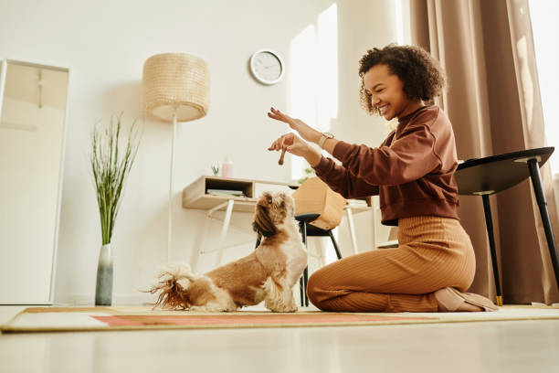 istock Young woman playing with cute Shih Tzu 1492539241