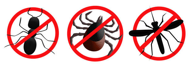 istock Ant, tick and mosquito icon isolated on white background. Insect control symbol. Isolated. Illustration. 1492542796