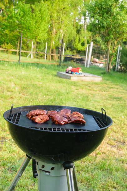istock Ribs in barbecue sauce roasted on a hot grill 1492544211