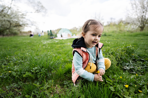 Baby girl plucking yellow flowers on spring meadow.