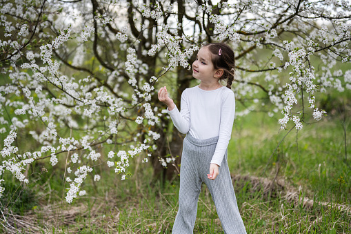 Portrait of preschool girl against white blloming tree in spring.