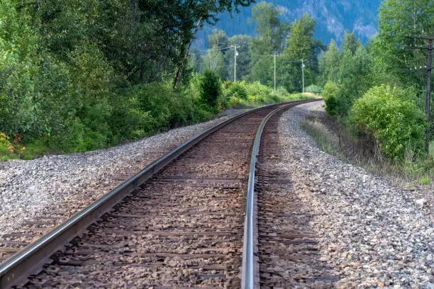 Low angle view over railroad tracks in a mountainous and forest area, curving and disappearing in the distance between the trees in Western Canada