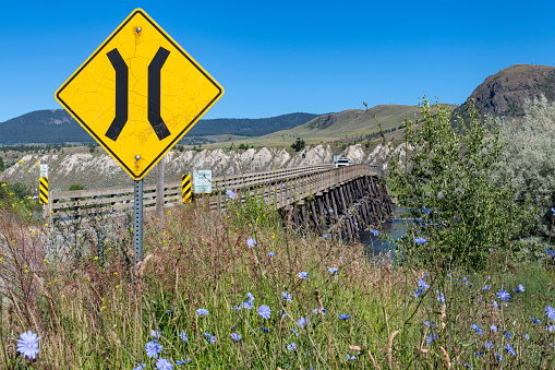 Full length view of wooden Pritchard Bridge (stringer bridge) across Thompson River, Pritchard, Canada, with in forefront blooming baby blue eyes or Nemophila menziesii and narrow bridge sign