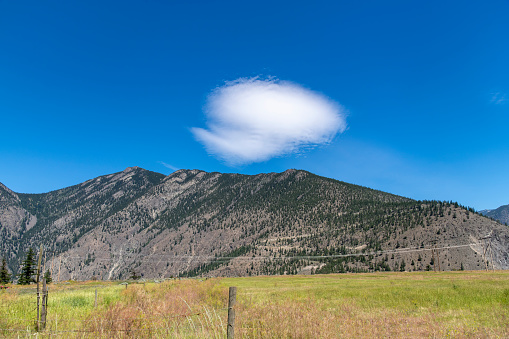 View of a single nicely shaped fluffy cloud in otherwise blue sky hanging above a mountain ridge with the slopes covered with some pine trees and green meadow with grass in forefront