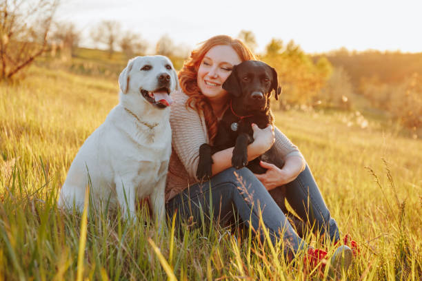 istock Happiness unleashed Woman playing with her dogs outside 1492552864