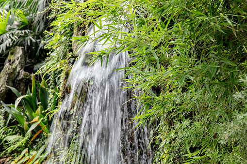 Waterfall in bamboo forest, Chinese garden landscape