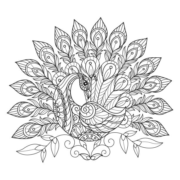 ilustraciones, imágenes clip art, dibujos animados e iconos de stock de lindo pavo real dibujado a mano para un libro para colorear para adultos - peacock feather outline black and white
