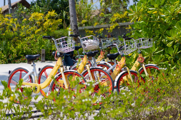 istock Bicycles for rent at a resort in the Maldives 1492555997