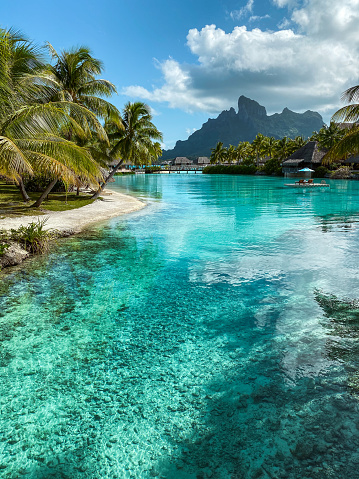 View of the Mount Otemanu through turquoise lagoon and palm trees on Bora Bora island, Tahiti, French Polynesia, South Pacific