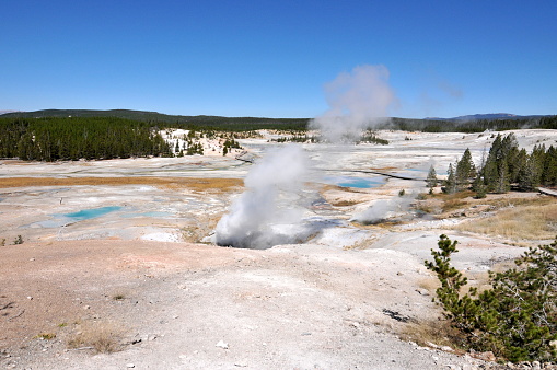 Utah, USA-September 10, 2011: The Yellow Stone National Park is one of the Natrual Wonders in the world. Here is the beautiful scenery of the National Park.