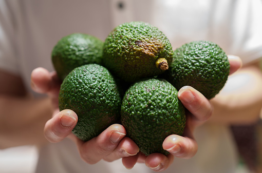 hands holding avocado