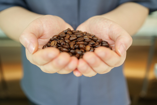 hand holding coffee beans