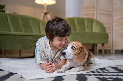 Young boy and faithful pet enjoying playful time together in a fun-filled living room. Heartwarming photo capturing the strong bond and friendship between a boy and his beloved dog.
