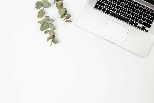istock White business background with laptop and eucalyptus branches, top view. 1492558638
