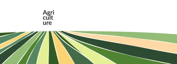 Vector illustration of Abstract landscape pattern vector background. Horizontal nature banner. Color field aerial view. Farm panorama, agriculture land template, stripe ornament. Summer flat backdrop. outdoor illustration