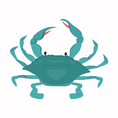 Cartoon vector illustration. Seafood shop logo, signboard, restaurant menu, fish market, banner, poster design template. Fresh seafood or shellfish product.