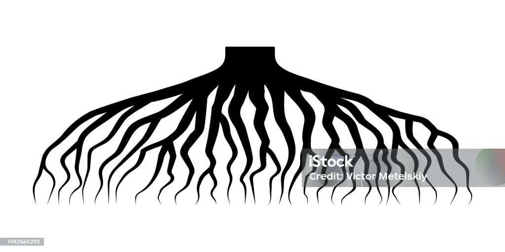 Pepis Racine Vector Silhouette Noire De Racine Darbre Symbole Des Racines Illustration ...
