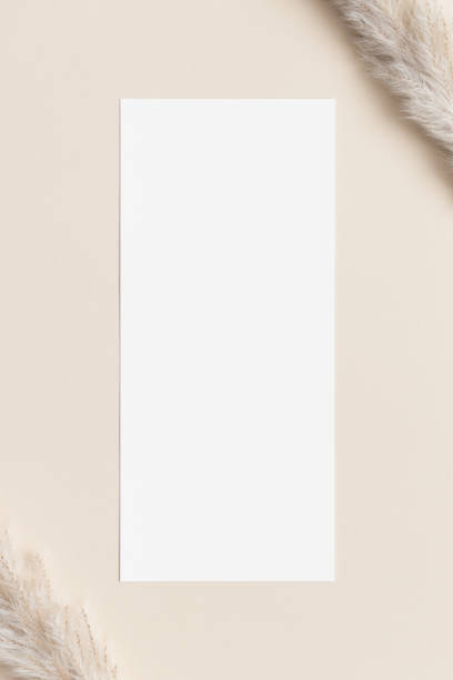 istock Menu card mockup with a dried pampas decoration. 4x9 ratio. 1492565657